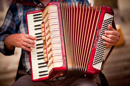 accordian